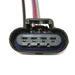 Fuel Pump Module Assembly Delphi FG0118