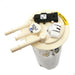 Fuel Pump Module Assembly Delphi FG0148