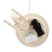 Fuel Pump Module Assembly Delphi FG0161