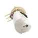 Fuel Pump Module Assembly Delphi FG0286