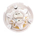 Fuel Pump and Strainer Set Delphi FG0418