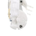 Fuel Pump Module Assembly Delphi FG0466