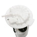 Fuel Pump Module Assembly Delphi FG0887
