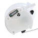 Fuel Pump Module Assembly Delphi FG1999
