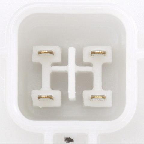 Fuel Pump Module Assembly Delphi FG2019