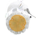 Fuel Pump Module Assembly Delphi FG2111