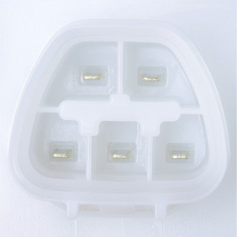 Fuel Pump Module Assembly Delphi FG2129