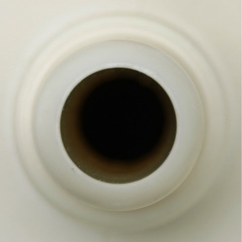 Fuel Pump Module Assembly Delphi FG2260