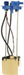 Fuel Pump Module Assembly Delphi FG2681