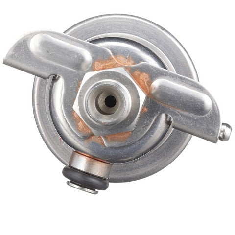 Fuel Injection Pressure Regulator Delphi FP10044
