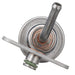Fuel Injection Pressure Regulator Delphi FP10335