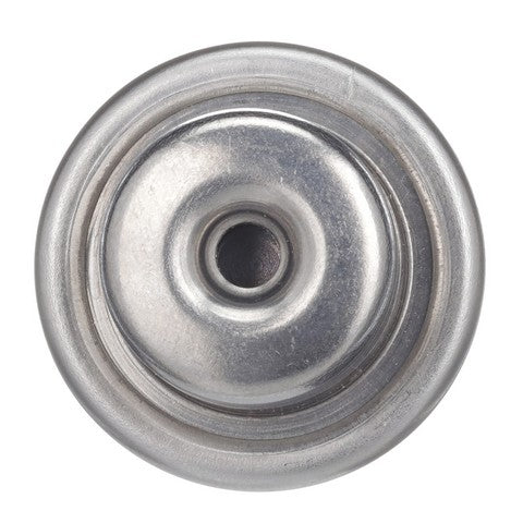 Fuel Injection Pressure Regulator Delphi FP10384