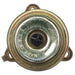 Fuel Injection Pressure Regulator Delphi FP10399