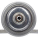 Fuel Injection Pressure Regulator Delphi FP10405