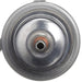 Fuel Injection Pressure Regulator Delphi FP10419