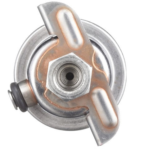 Fuel Injection Pressure Regulator Delphi FP10511