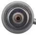 Fuel Injection Pressure Regulator Delphi FP10519
