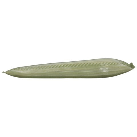 Fuel Pump Strainer Delphi FS0003