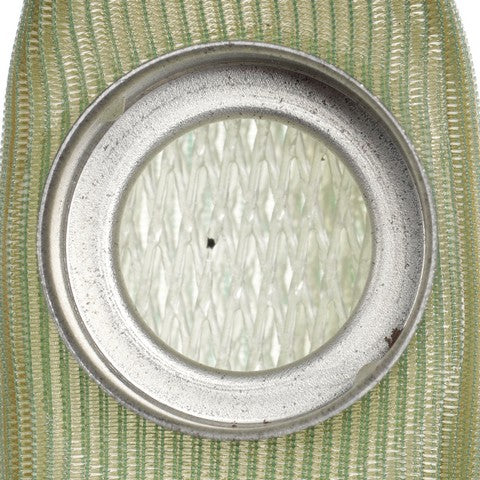 Fuel Pump Strainer Delphi FS0003