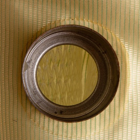 Fuel Pump Strainer Delphi FS0011