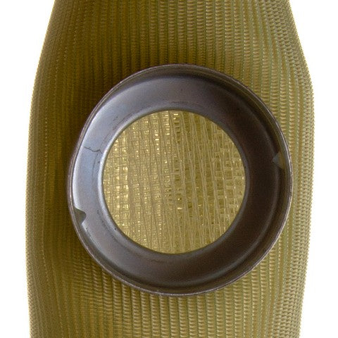 Fuel Pump Strainer Delphi FS0021