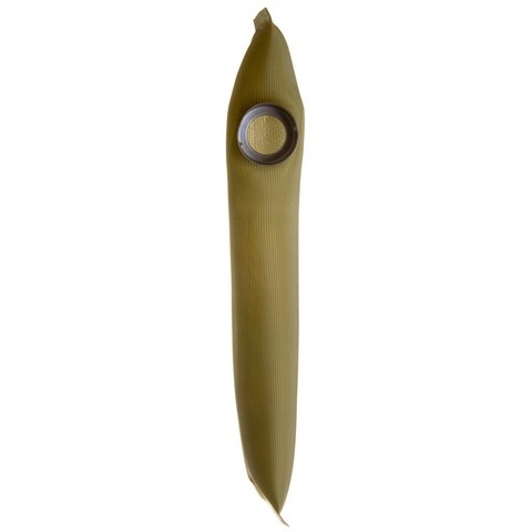 Fuel Pump Strainer Delphi FS0021