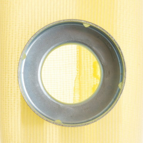 Fuel Pump Strainer Delphi FS0031