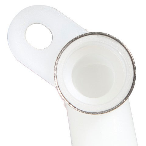 Fuel Pump Strainer Delphi FS0197