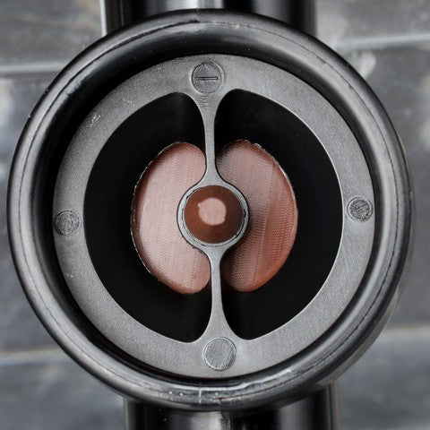 Fuel Pump Strainer Delphi FS0204