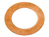Banjo Washer Raybestos Brakes G1245