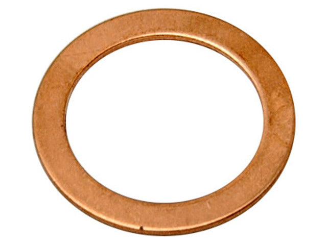 Banjo Washer Raybestos Brakes G1246-2