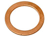 Banjo Washer Raybestos Brakes G1246