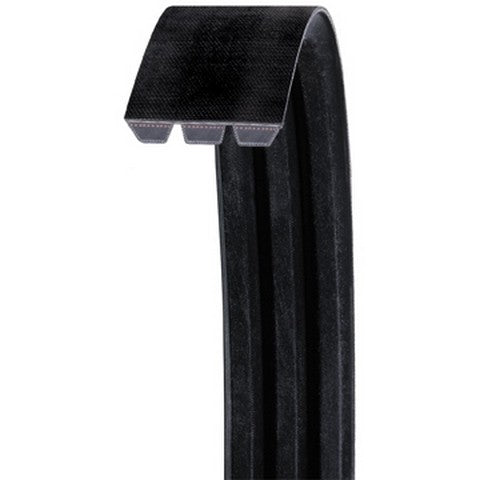Accessory Drive Belt Dayco RB85-2