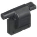 Ignition Coil Delphi GN10024