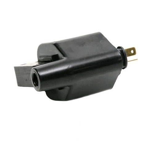 Ignition Coil Delphi GN10170