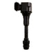 Ignition Coil Delphi GN10242