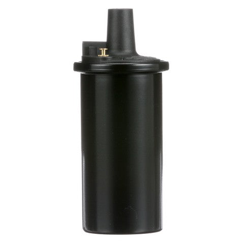 Ignition Coil Delphi GN10273