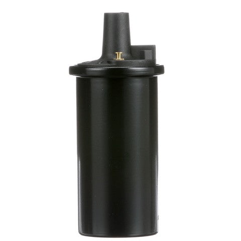 Ignition Coil Delphi GN10273