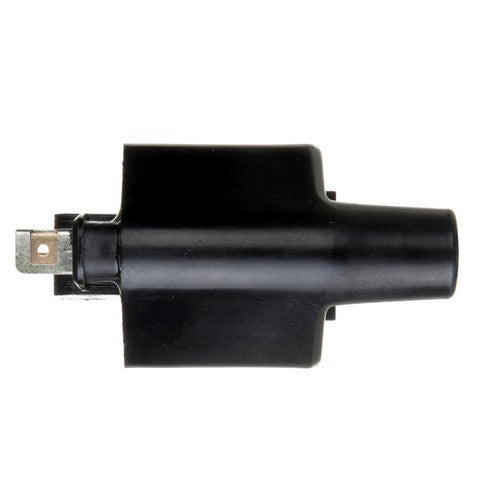 Ignition Coil Delphi GN10275