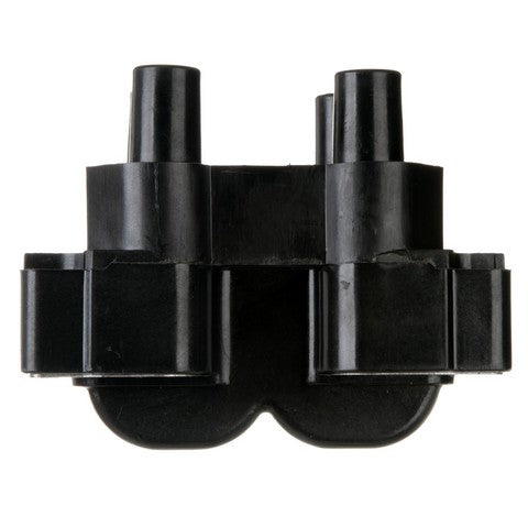 Ignition Coil Delphi GN10295