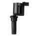 Ignition Coil Delphi GN10300
