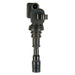 Ignition Coil Delphi GN10304