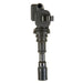 Ignition Coil Delphi GN10305