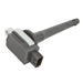 Ignition Coil Delphi GN10325