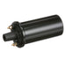 Ignition Coil Delphi GN10339