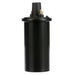 Ignition Coil Delphi GN10339