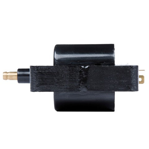 Ignition Coil Delphi GN10359
