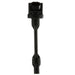 Ignition Coil Delphi GN10952