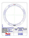 Friction Plates Raybestos Powertrain GPZ685