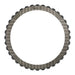 Friction Plates Raybestos Powertrain GPZ730